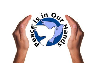 爱游戏在线登录入口-波兰队赛制分析：如何在团体赛制中保持稳定的表现，波兰球队如何